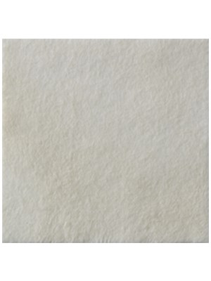Biatain Alginate 10cm x 10cm - Box/10